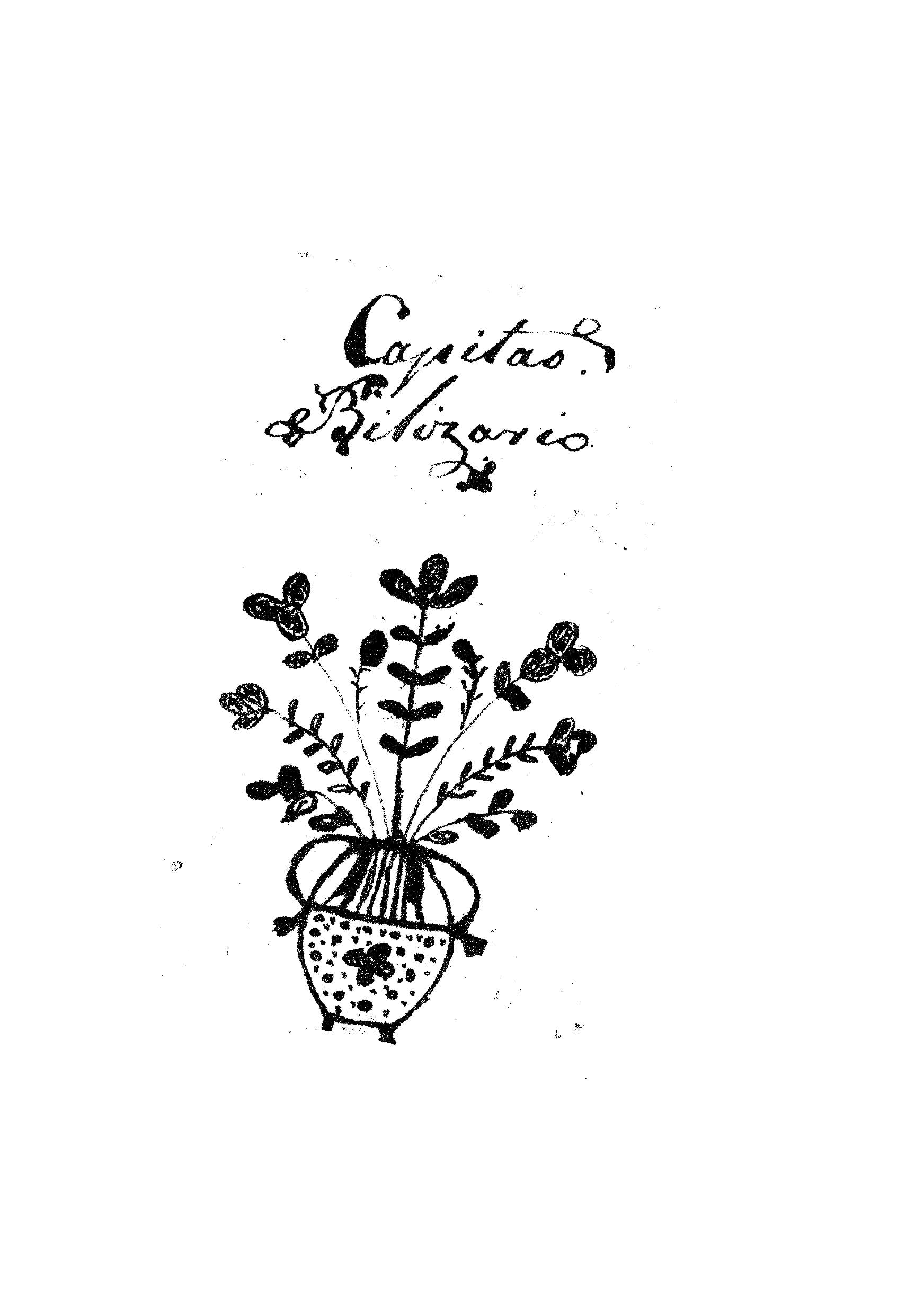 Image 3763